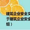 建筑企业安全文化与工人安全行为及其相互关系的研究（关于建筑企业安全文化与工人安全行为及其相互关系的研究介绍）