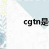 cgtn是什么意思（cgtn的意思）