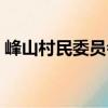 峰山村民委员会（关于峰山村民委员会简介）