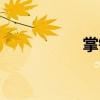 掌锅（关于掌锅简介）