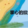 掌心的纹路（关于掌心的纹路简介）