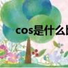 cos是什么比什么（深入了解三角函数）