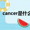 cancer是什么意思中文（cancer中文含义）