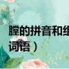 膛的拼音和组词（膛字怎么读它可以组成什么词语）