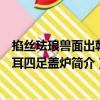 掐丝珐琅兽面出戟双耳四足盖炉（关于掐丝珐琅兽面出戟双耳四足盖炉简介）