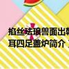 掐丝珐琅兽面出戟双耳四足盖炉（关于掐丝珐琅兽面出戟双耳四足盖炉简介）