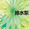 排水泵站（关于排水泵站简介）