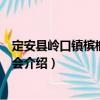 定安县岭口镇槟榔购销协会（关于定安县岭口镇槟榔购销协会介绍）