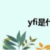 yfi是什么币（yfi有什么特点）