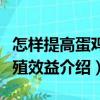 怎样提高蛋鸡养殖效益（关于怎样提高蛋鸡养殖效益介绍）