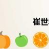 崔世君（关于崔世君简介）