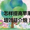 怎样提高苹果栽培效益（关于怎样提高苹果栽培效益介绍）