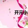 开元小区（关于开元小区介绍）