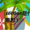section是什么意思中文翻译（section是啥意思）