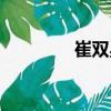 崔双星（关于崔双星简介）