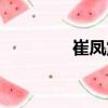 崔凤震（关于崔凤震简介）