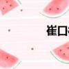 崔口村（关于崔口村简介）