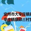 定州市大辛庄镇泉邱三村党支部志愿服务队（关于定州市大辛庄镇泉邱三村党支部志愿服务队介绍）