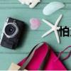 怕人（关于怕人介绍）