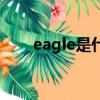 eagle是什么意思（eagle单词介绍）