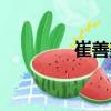 崔善美（关于崔善美简介）