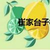 崔家台子村（关于崔家台子村简介）