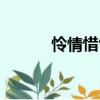 怜情惜雪（关于怜情惜雪介绍）