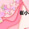 崔小平（关于崔小平简介）