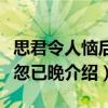 思君令人恼后悔忽已晚（关于思君令人恼后悔忽已晚介绍）