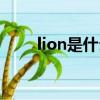 lion是什么意思中文（lion的意思）