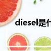 diesel是什么牌子（diesel品牌介绍）