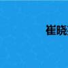 崔晓亮（关于崔晓亮简介）
