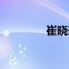 崔晓琳（关于崔晓琳简介）