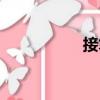接笔（关于接笔简介）
