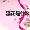 流花是什么意思（流花具体是什么意思）