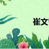 崔文智（关于崔文智简介）