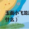 玉面小飞龙是什么意思（玉面小飞龙意思 是什么）