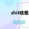 shit啥意思（shit中文是什么意思）