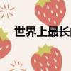 世界上最长的松鼠是什么（巨松鼠介绍）