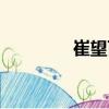 崔望百（关于崔望百简介）