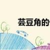 芸豆角的做法（芸豆角的做法步骤）