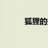 狐狸的拼音声调（狐狸怎么读）