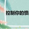 控制你的愤怒（关于控制你的愤怒简介）
