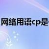 网络用语cp是什么意思（网络用语cp的意思）