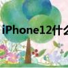 iPhone12什么时候上市（iPhone上市时间）