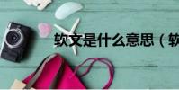 软文是什么意思(软文详解)