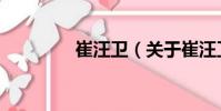崔汪卫(关于崔汪卫简介)