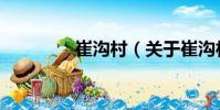 崔沟村(关于崔沟村简介)