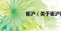 崔沪(关于崔沪简介)