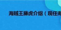海贼王藤虎介绍(现任海军大将藤虎)